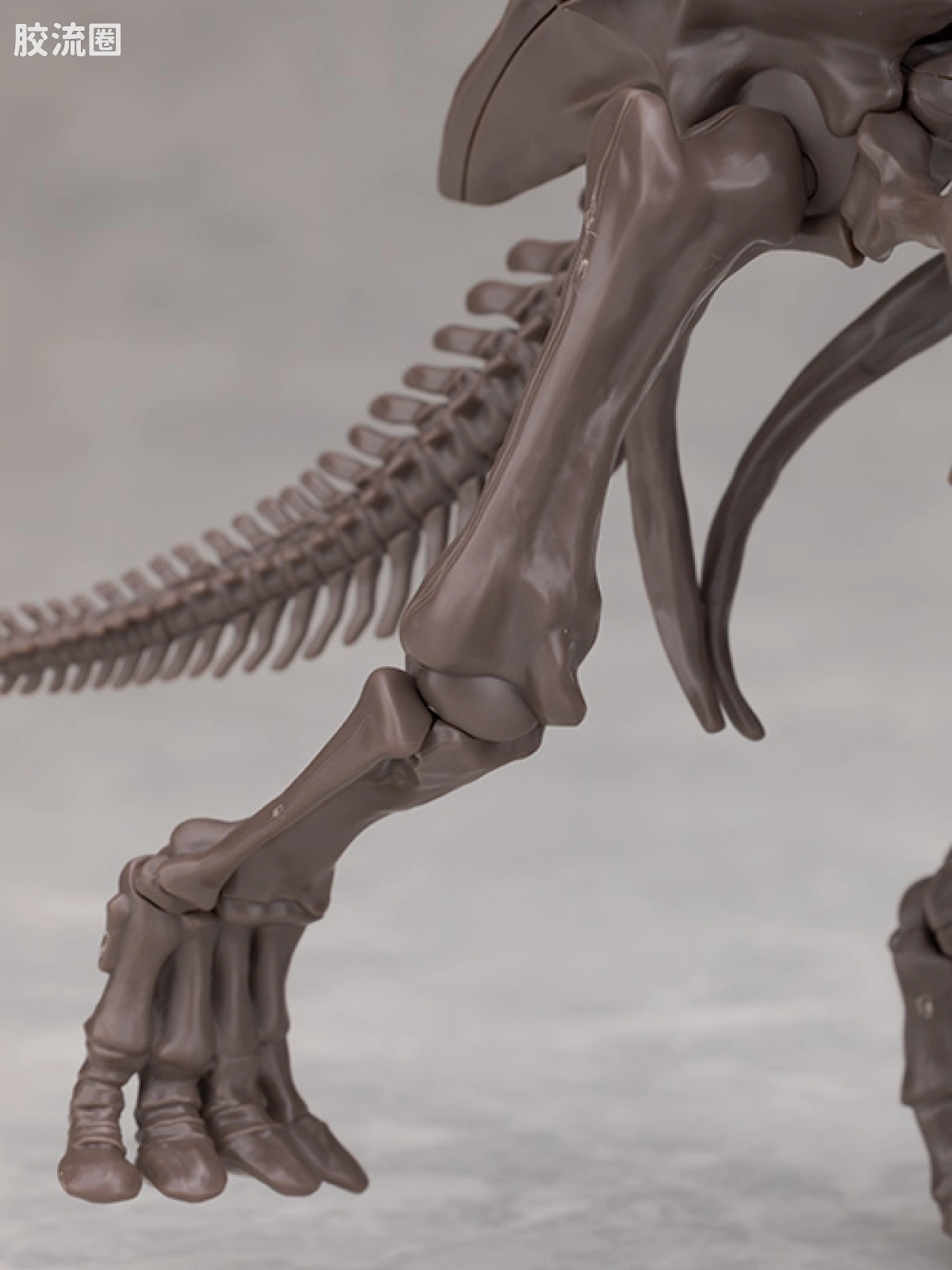 万代综合拼装模型系列 Imaginary Skeleton系列 三角龙 - 图片